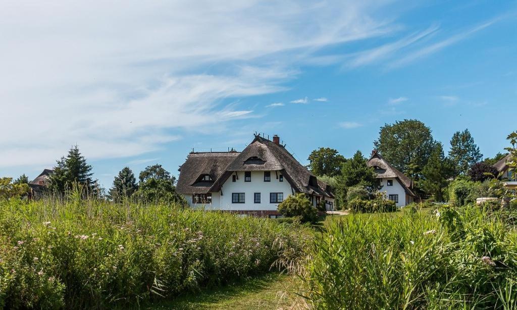 Apartamento Haus Am Bodden 03 Ahrenshoop Exterior foto