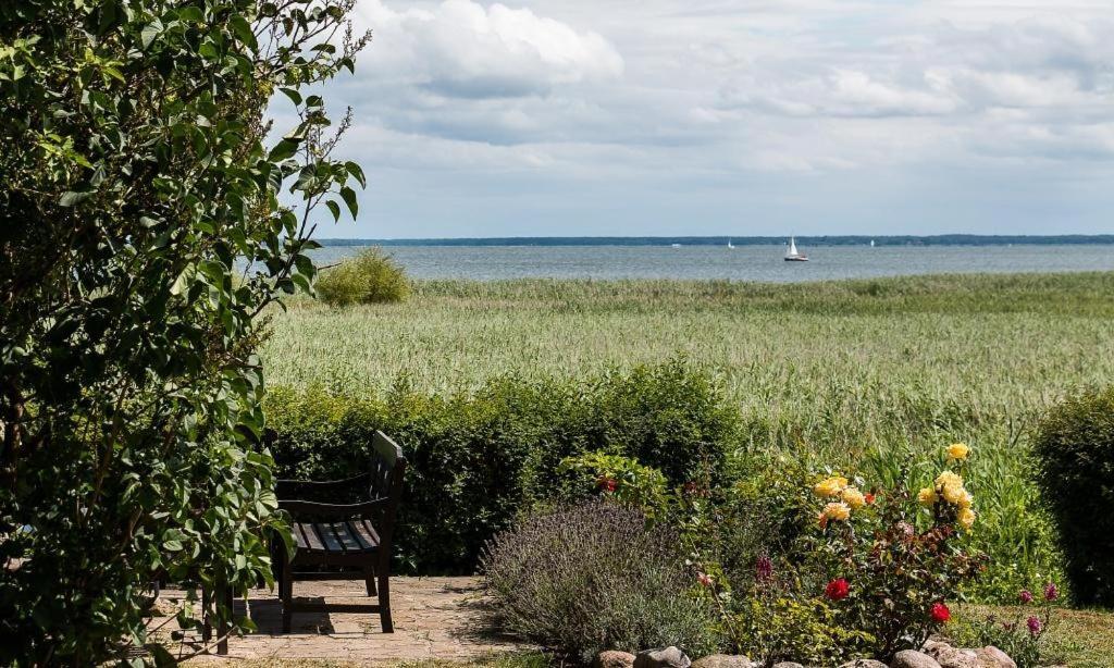 Apartamento Haus Am Bodden 03 Ahrenshoop Exterior foto